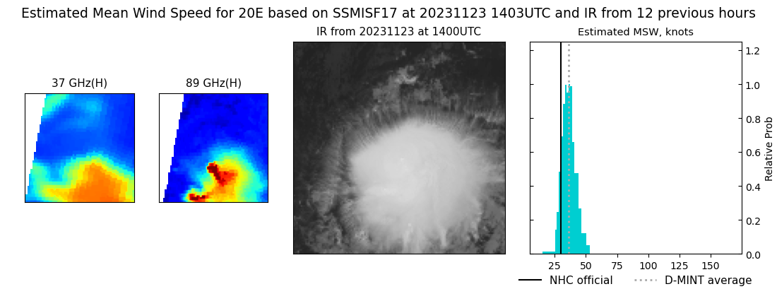 current 20E intensity image