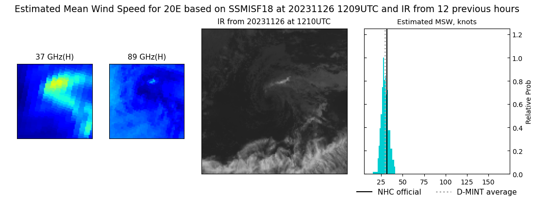 current 20E intensity image